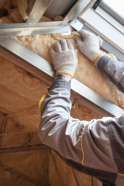 Best Weatherproofing Services  in Mills, WY